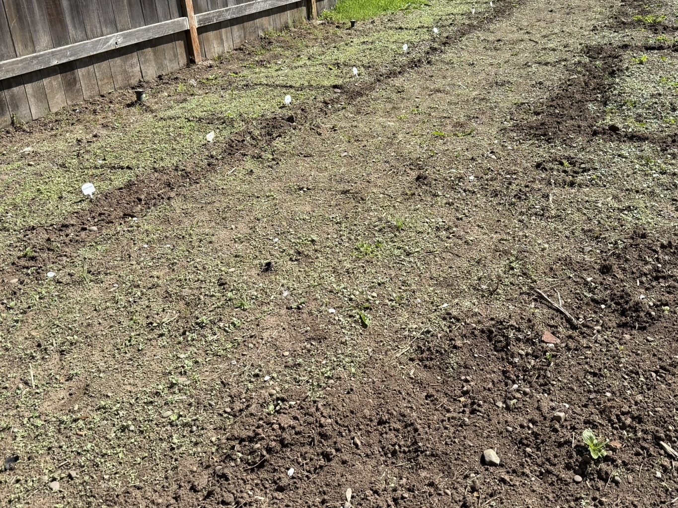 in progress garden with no growth yet
