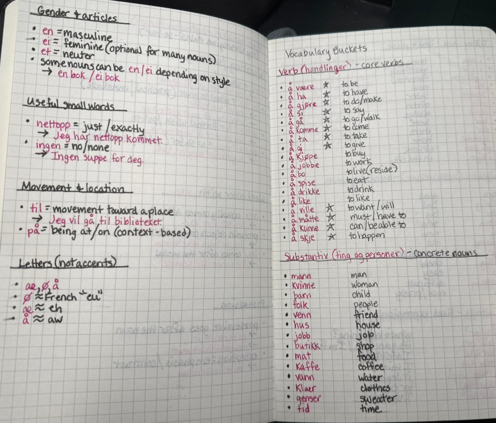 book open to basic Norwegian grammar rules