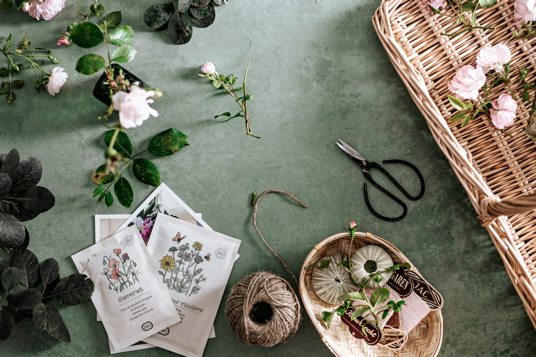 table with seeds, twine, and scissors for gardening