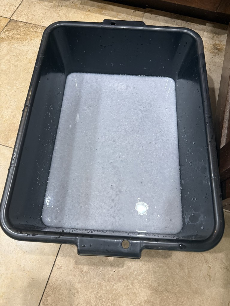 paper pulp in a dish bin