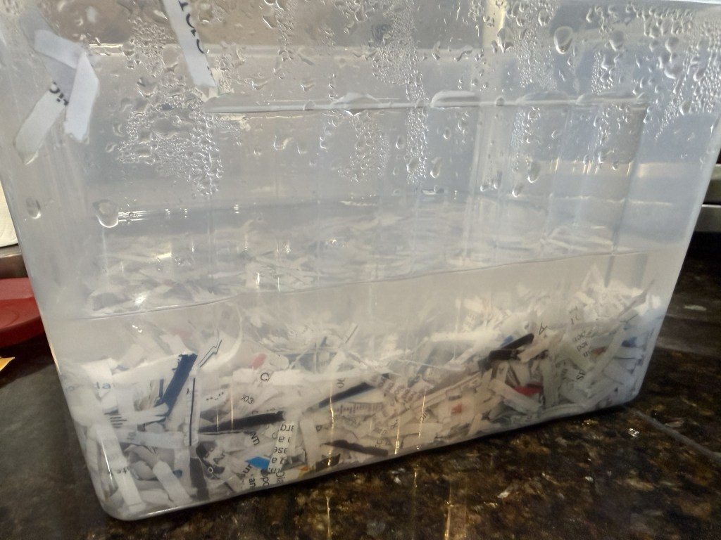 paper scraps soaking in a plastic bin